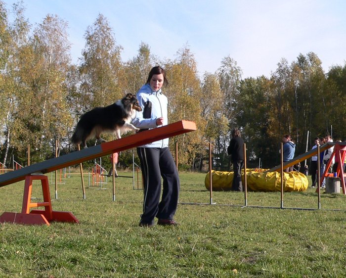 P1060661.JPG