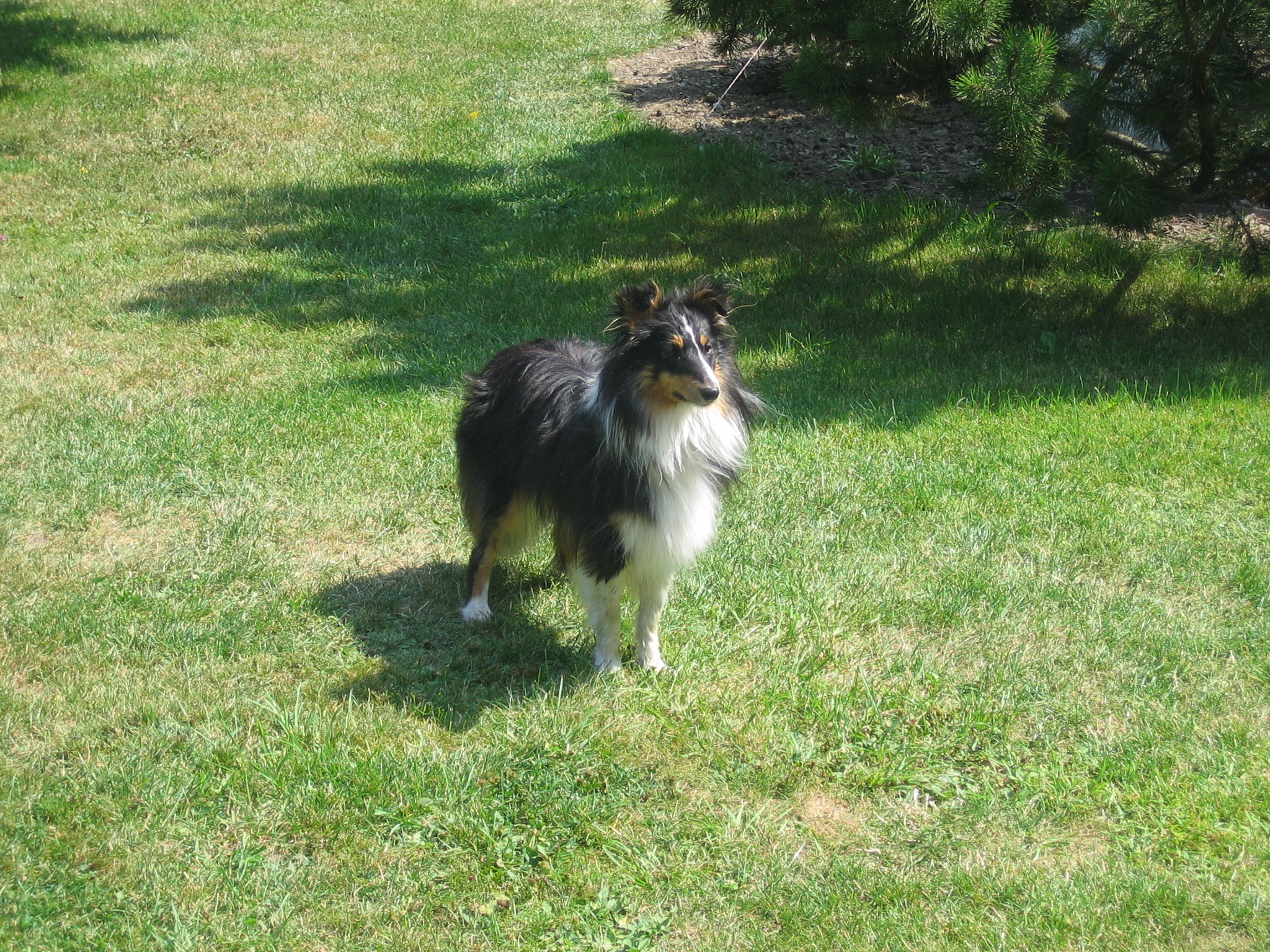 Snímek 024.jpg