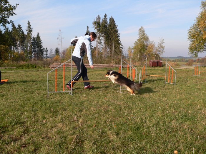 P1060632.JPG